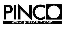 logopinco_ trasparentebianco